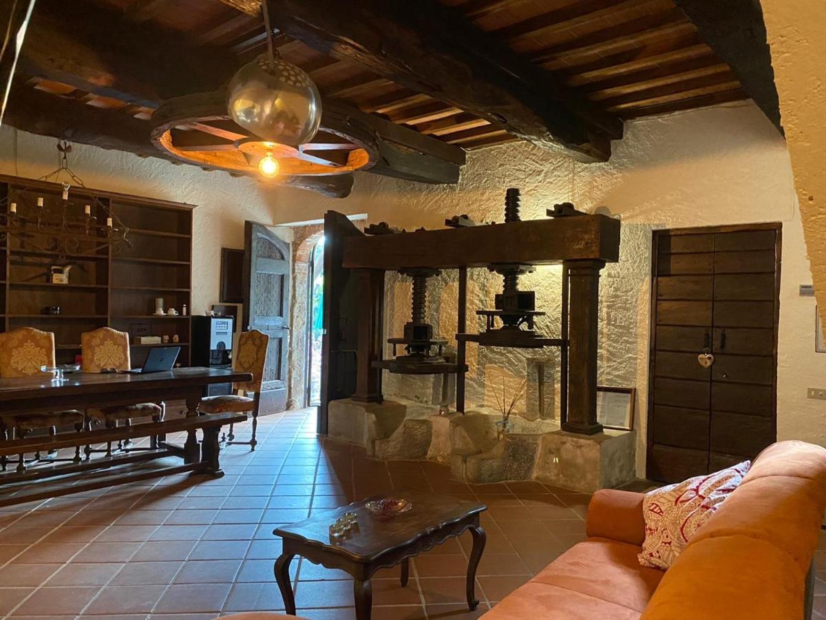Guest House Antico Frantoio Pietrasanta Affittacamere Extérieur photo