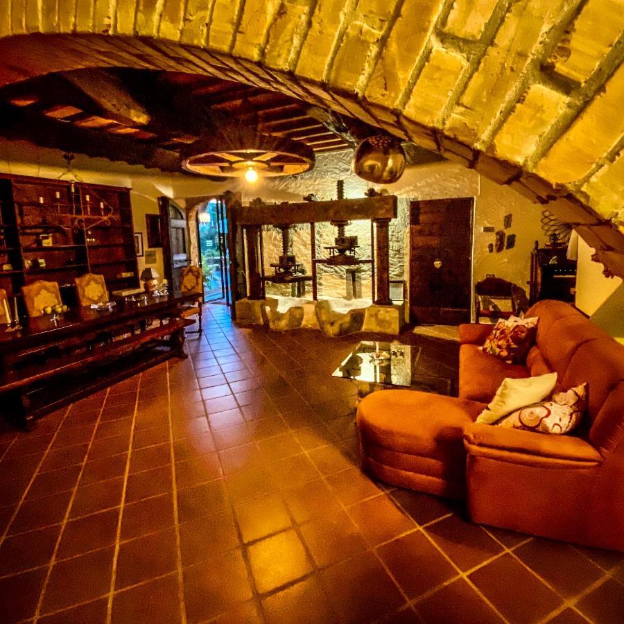 Guest House Antico Frantoio Pietrasanta Affittacamere Extérieur photo
