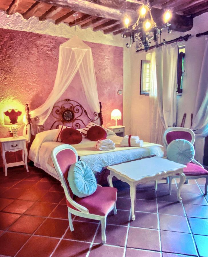 Guest House Antico Frantoio Pietrasanta Affittacamere Extérieur photo