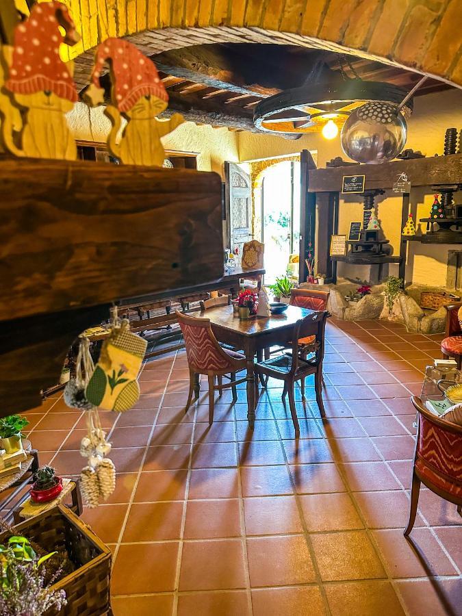 Guest House Antico Frantoio Pietrasanta Affittacamere Extérieur photo